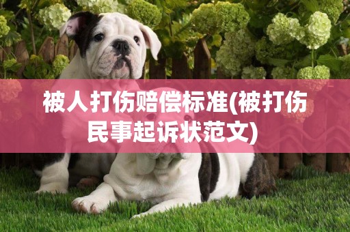 被人打傷賠償標準(被打傷民事起訴狀范文) 