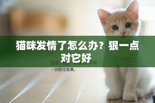 貓咪發情了怎么辦？狠一點對它好 