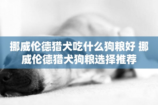 挪威倫德獵犬吃什么狗糧好 挪威倫德獵犬狗糧選擇推薦