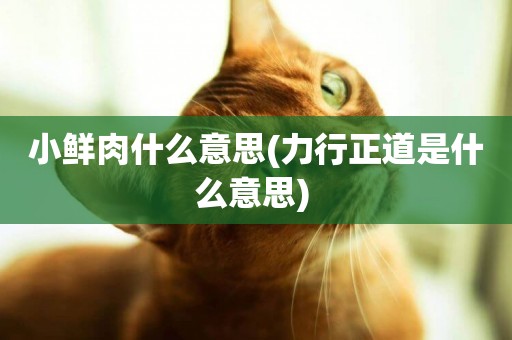 小鮮肉什么意思(力行正道是什么意思) 
