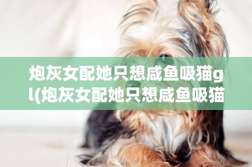 炮灰女配她只想咸魚吸貓gl(炮灰女配她只想咸魚吸貓 作者:醒也思) 
