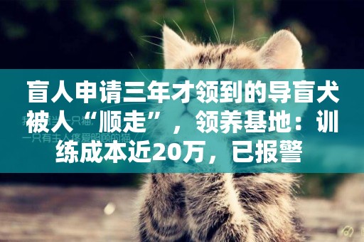 盲人申請三年才領到的導盲犬被人“順走”，領養基地：訓練成本近20萬，已報警 