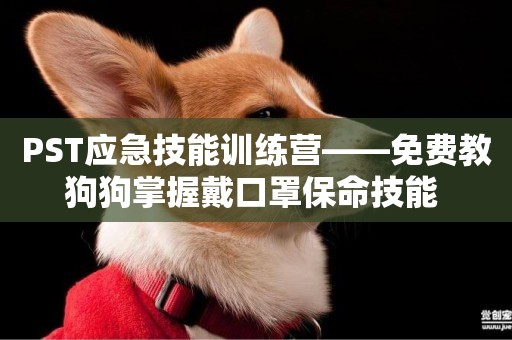 PST應急技能訓練營——免費教狗狗掌握戴口罩保命技能 