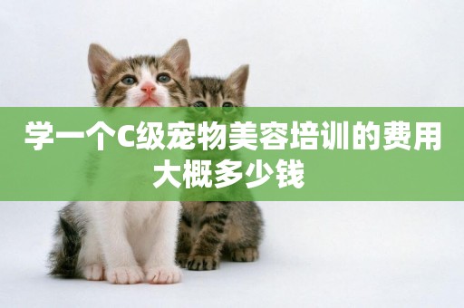 學一個C級寵物美容培訓的費用大概多少錢 