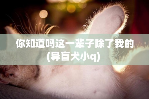 你知道嗎這一輩子除了我的(導盲犬小q) 