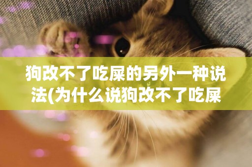 狗改不了吃屎的另外一種說法(為什么說狗改不了吃屎的見解) 