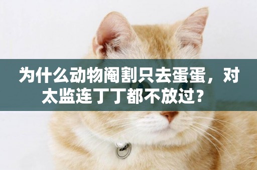 為什么動物閹割只去蛋蛋，對太監連丁丁都不放過？ 