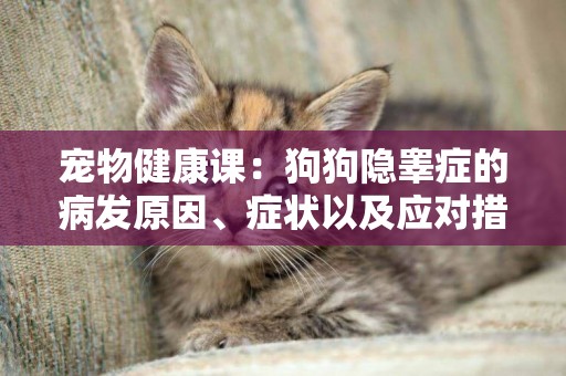 寵物健康課：狗狗隱睪癥的病發原因、癥狀以及應對措施分析！ 