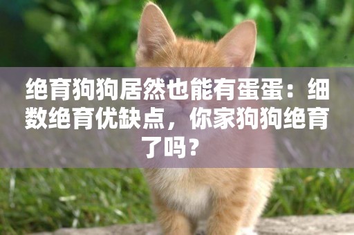 絕育狗狗居然也能有蛋蛋：細數絕育優缺點，你家狗狗絕育了嗎？ 