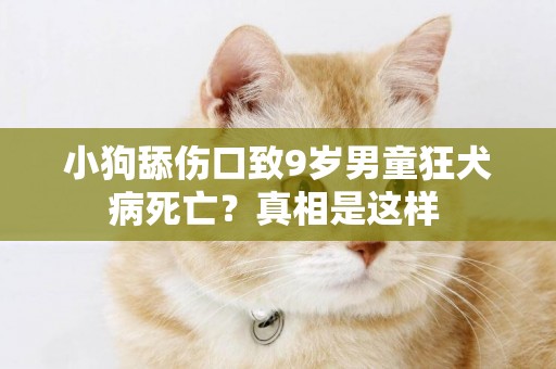 小狗舔傷口致9歲男童狂犬病死亡？真相是這樣 