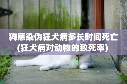 狗感染偽狂犬病多長時間死亡(狂犬病對動物的致死率) 