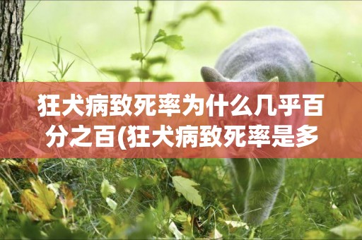 狂犬病致死率為什么幾乎百分之百(狂犬病致死率是多少) 