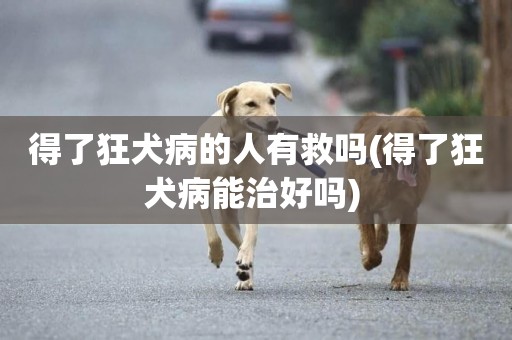得了狂犬病的人有救嗎(得了狂犬病能治好嗎) 