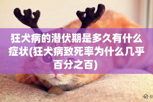 狂犬病的潛伏期是多久有什么癥狀(狂犬病致死率為什么幾乎百分之百) 