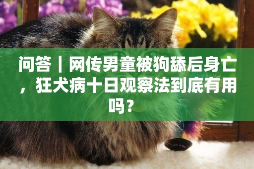 問答｜網傳男童被狗舔后身亡，狂犬病十日觀察法到底有用嗎？ 