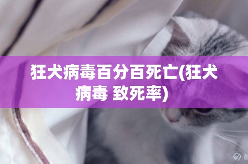 狂犬病毒百分百死亡(狂犬病毒 致死率) 
