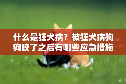 什么是狂犬病？被狂犬病狗狗咬了之后有哪些應急措施？ 