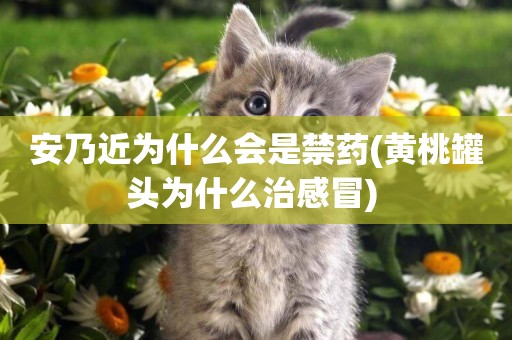 安乃近為什么會是禁藥(黃桃罐頭為什么治感冒) 