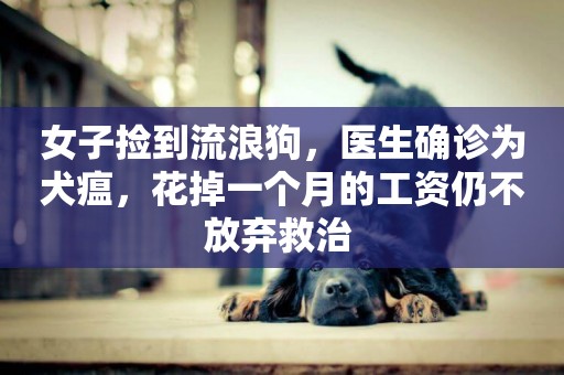 女子撿到流浪狗，醫生確診為犬瘟，花掉一個月的工資仍不放棄救治 