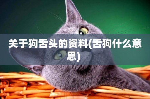 關于狗舌頭的資料(舌狗什么意思) 