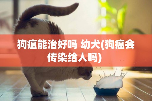 狗瘟能治好嗎 幼犬(狗瘟會傳染給人嗎) 