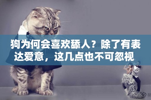 狗為何會喜歡舔人？除了有表達愛意，這幾點也不可忽視 