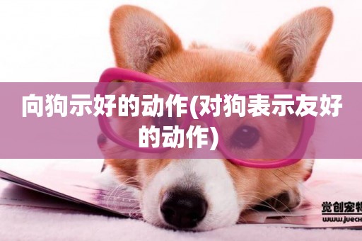 向狗示好的動作(對狗表示友好的動作) 