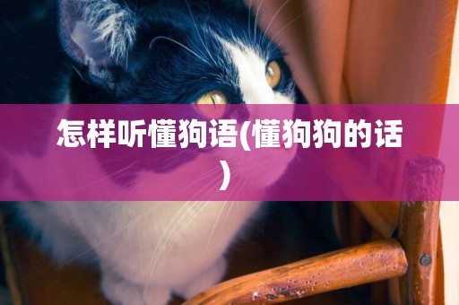 怎樣聽懂狗語(懂狗狗的話) 