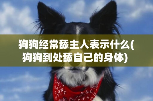 狗狗經常舔主人表示什么(狗狗到處舔自己的身體) 