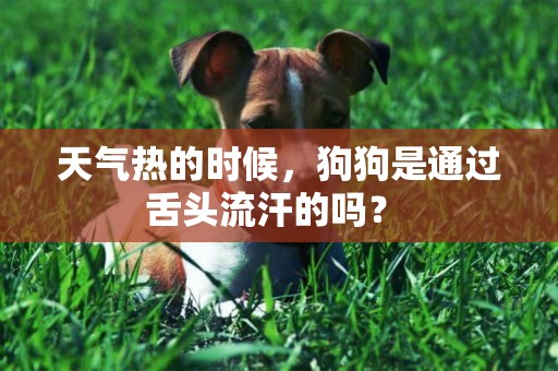 天氣熱的時候，狗狗是通過舌頭流汗的嗎？ 
