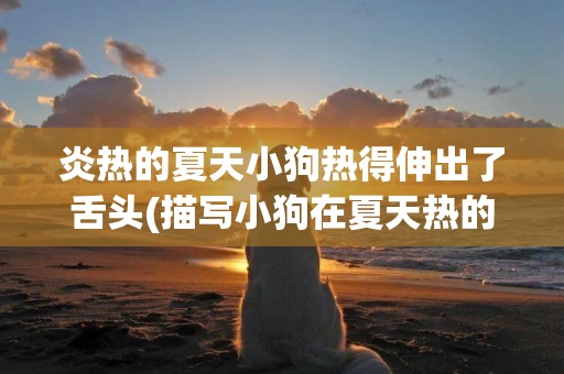炎熱的夏天小狗熱得伸出了舌頭(描寫小狗在夏天熱的一段話) 
