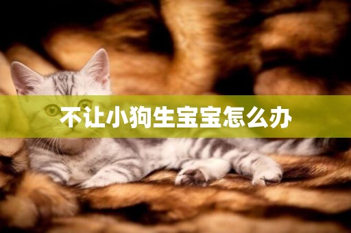 不讓小狗生寶寶怎么辦