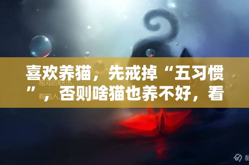 喜歡養貓，先戒掉“五習慣”，否則啥貓也養不好，看看你占了幾個 