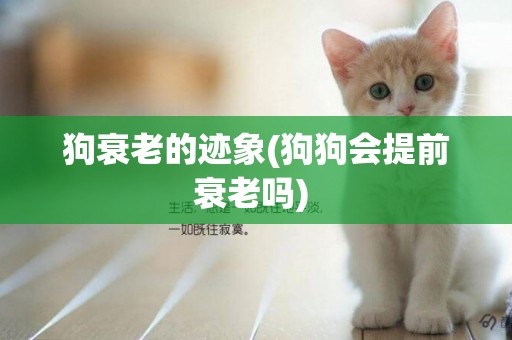 狗衰老的跡象(狗狗會提前衰老嗎) 