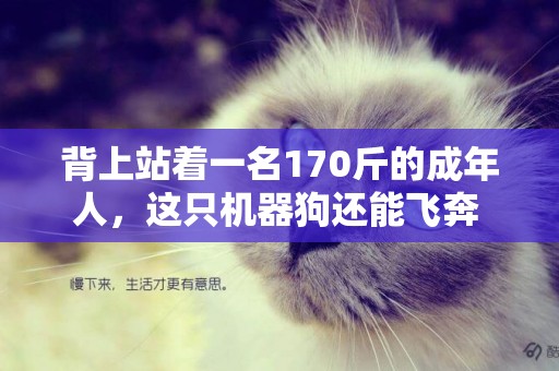 背上站著一名170斤的成年人，這只機器狗還能飛奔 