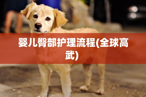 嬰兒臀部護理流程(全球高武) 