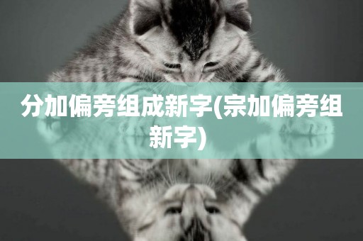 分加偏旁組成新字(宗加偏旁組新字) 