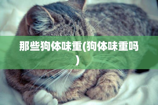 那些狗體味重(狗體味重嗎) 