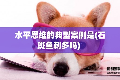 水平思維的典型案例是(石斑魚刺多嗎) 