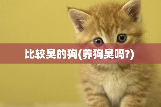 比較臭的狗(養狗臭嗎?) 