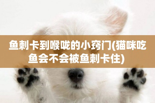 魚刺卡到喉嚨的小竅門(貓咪吃魚會不會被魚刺卡住) 