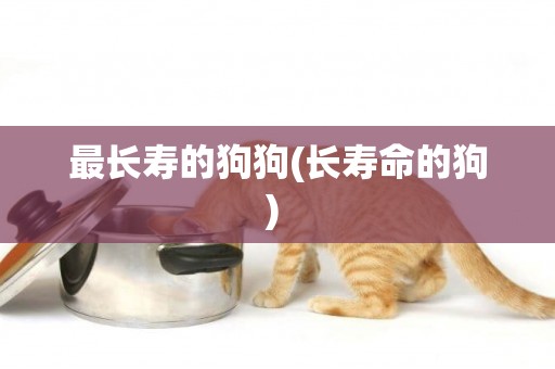 最長壽的狗狗(長壽命的狗) 