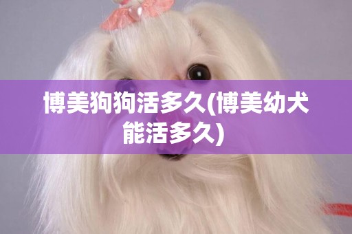 博美狗狗活多久(博美幼犬能活多久) 