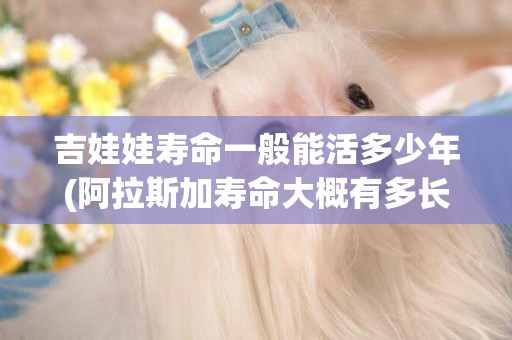 吉娃娃壽命一般能活多少年(阿拉斯加壽命大概有多長) 