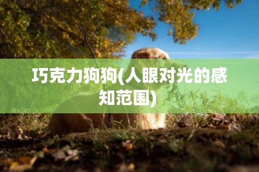 巧克力狗狗(人眼對光的感知范圍) 