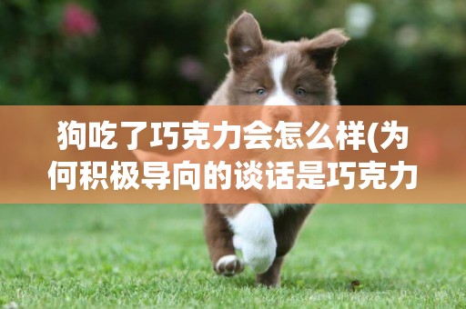 狗吃了巧克力會怎么樣(為何積極導向的談話是巧克力式對話) 