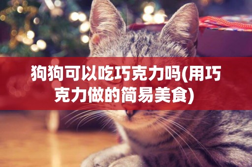 狗狗可以吃巧克力嗎(用巧克力做的簡易美食) 