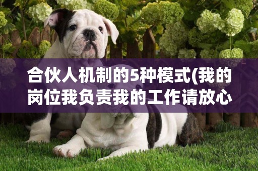 合伙人機制的5種模式(我的崗位我負責我的工作請放心心得體會) 