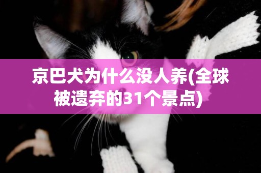 京巴犬為什么沒人養(全球被遺棄的31個景點) 