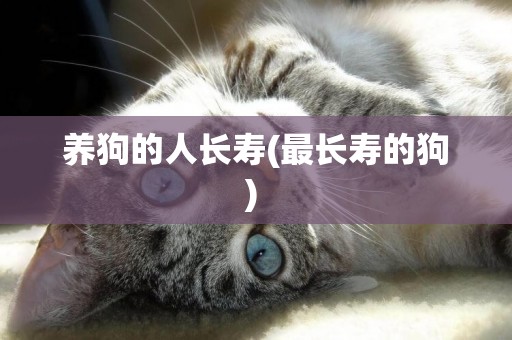養狗的人長壽(最長壽的狗) 